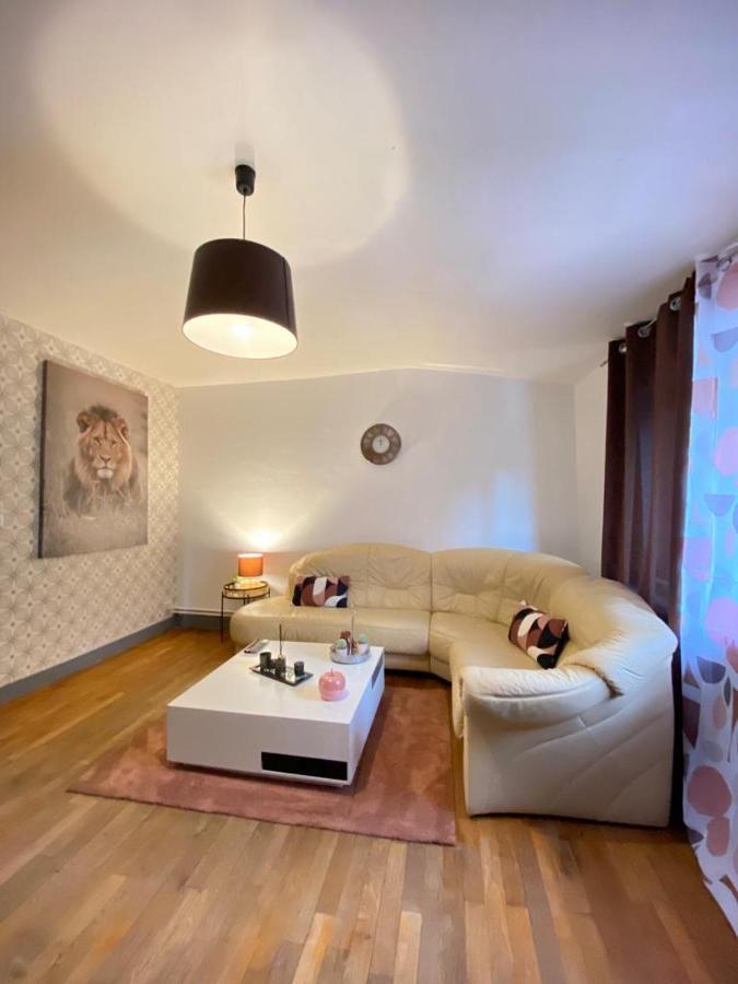 Appartement Independant De 100 Mc Avec 4 Chambres, Salon Et Jardin Senones  Εξωτερικό φωτογραφία